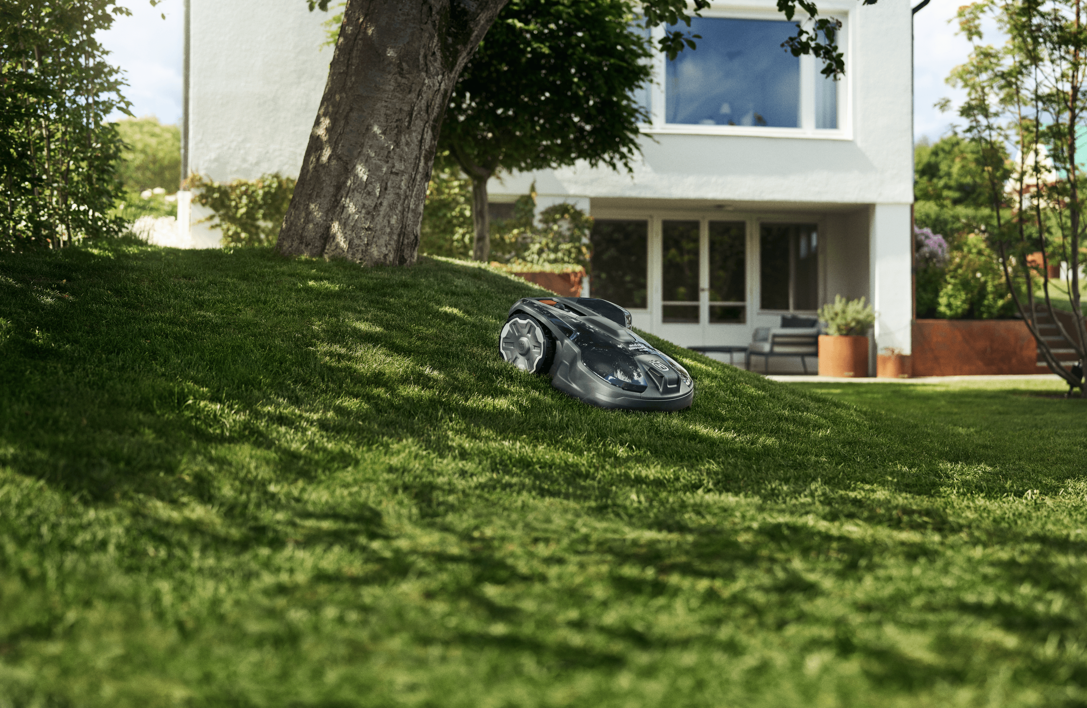 man holding polesaw whilst cutting tree